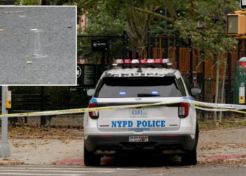 Goon opens fire near children on NYC playground as 2 people wounded: sources