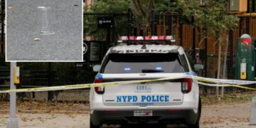 Goon opens fire near children on NYC playground as 2 people wounded: sources