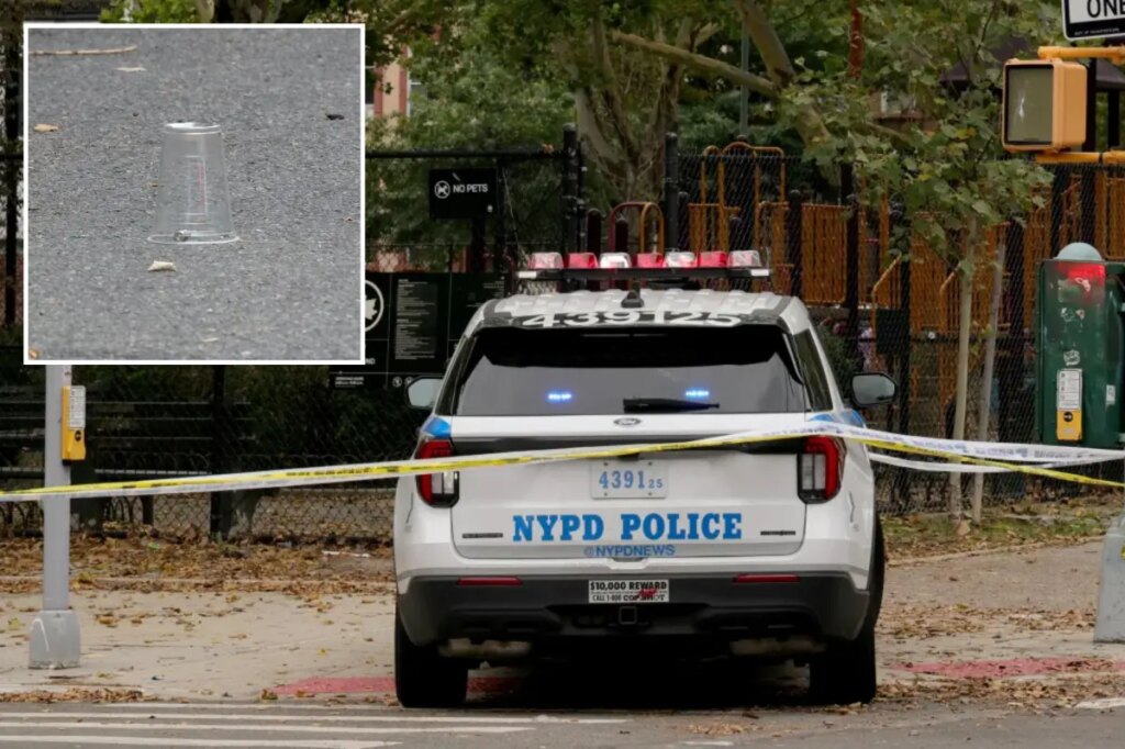 Goon opens fire near children on NYC playground as 2 people wounded: sources
