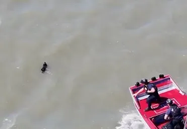 A small dark dog swims in choppy water near a rescue boat with two firefighters.