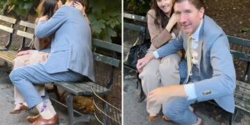 Lawyers caught canoodling in Central Park in viral video identified  