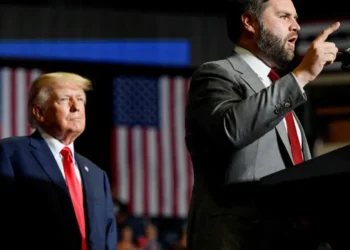 Vance quietly ‘stabbing the president in the back’ over Epstein fallout: analyst
