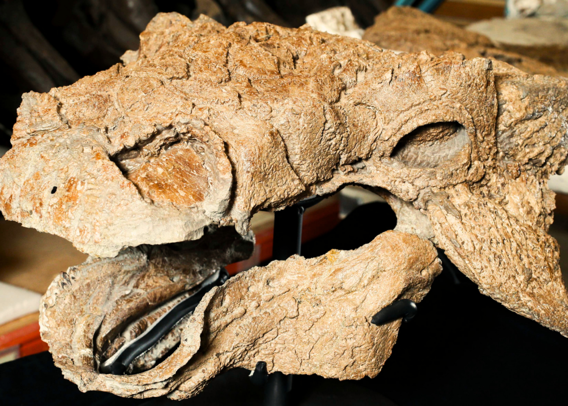 Even Scientists Think This Dinosaur Looks Exactly Like Zuul From ‘Ghostbusters’
