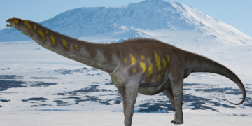 Scientists Found Antarctica’s First Dinosaur Fossil Hiding in a Museum Drawer