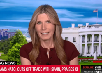Clip of Trump’s blunder-filled summit unsettles MS NOW: ‘Something deeply wrong with him’