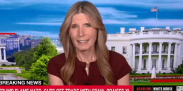 Clip of Trump’s blunder-filled summit unsettles MS NOW: ‘Something deeply wrong with him’