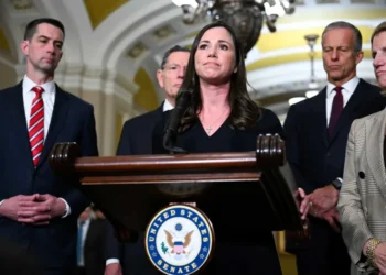 White House insiders reveal the next Trump whisperer after Lindsey Graham’s death: report