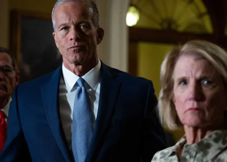 Senator in Trump’s crosshairs as he seeks scapegoat for legislative woes: insider