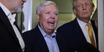 ‘Even stranger’: Trump spills on call with Lindsey Graham held ‘minutes before’ incident