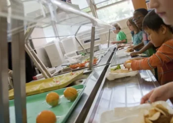 Experts sound alarm: Trump’s tax bill has America barreling toward ‘hunger crisis’