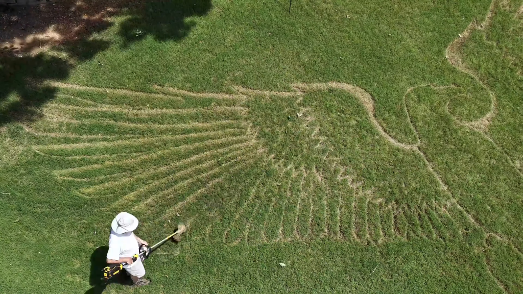 The view above the Trussville, Alabama, property, reveals a striking mural of a bald eagle with its wings outstretched across his front lawn.