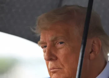 The Mafia shows more restraint than Trump as ‘casual butchery’ becomes US norm: column