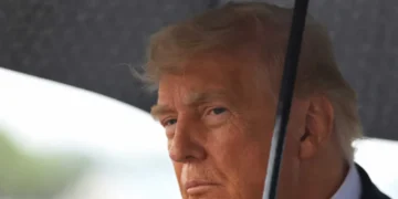 The Mafia shows more restraint than Trump as ‘casual butchery’ becomes US norm: column