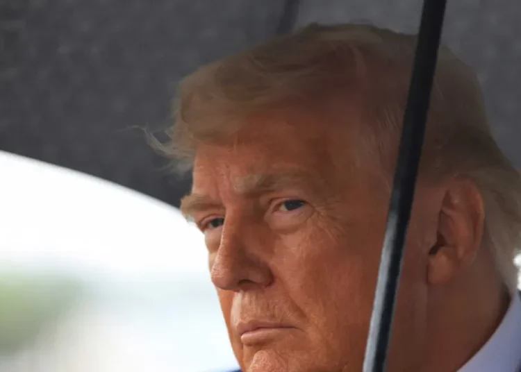 The Mafia shows more restraint than Trump as ‘casual butchery’ becomes US norm: column