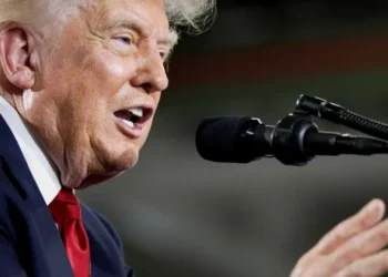 ‘We’re going to have chaos’: Expert sounds the alarm after Trump DOJ’s election appeal