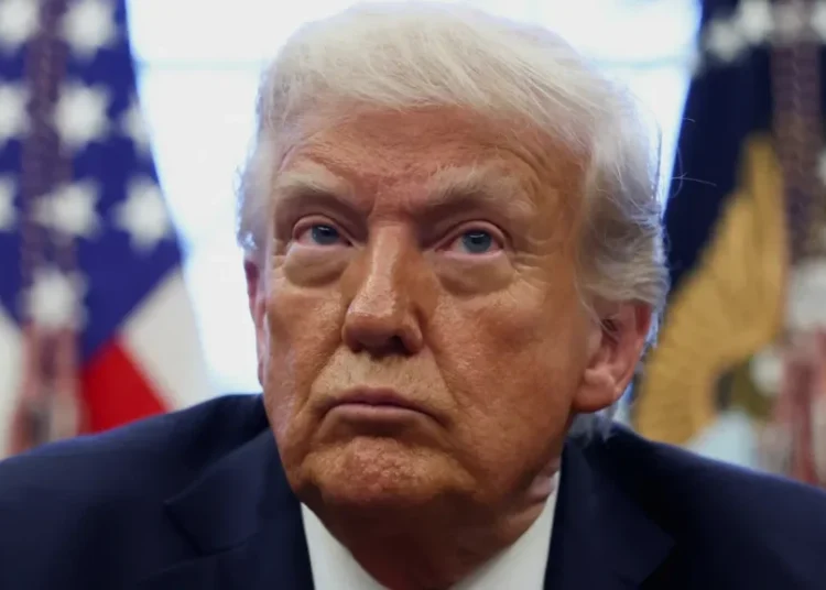 Trump attorneys make critical mistake in new bid to dodge E. Jean Carroll payment: expert