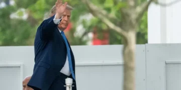 NYT reporter Maggie Haberman stuns podcaster with new Trump revelation