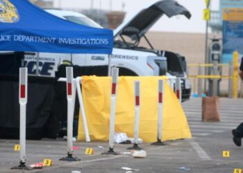 Las Vegas teen suspect in Santa Monica Pier shooting turns himself in