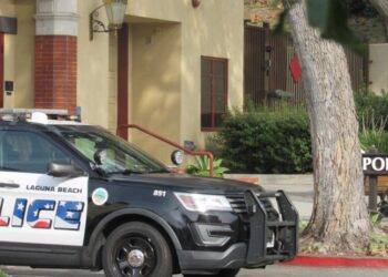 ‘Heartbreaking.’ Laguna Beach man charged with beating mother to death with hammer
