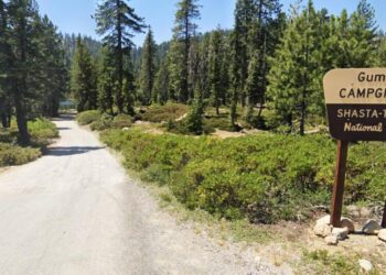 Forest Service workers taken hostage, held at gunpoint in remote NorCal trailer, feds say
