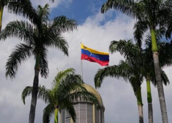 Venezuela confirms 3 people have died of hantavirus infections, 2 more deaths suspected