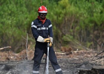 As heat and dry conditions fan wildfires in France, volunteers fan out to help