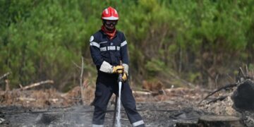 As heat and dry conditions fan wildfires in France, volunteers fan out to help