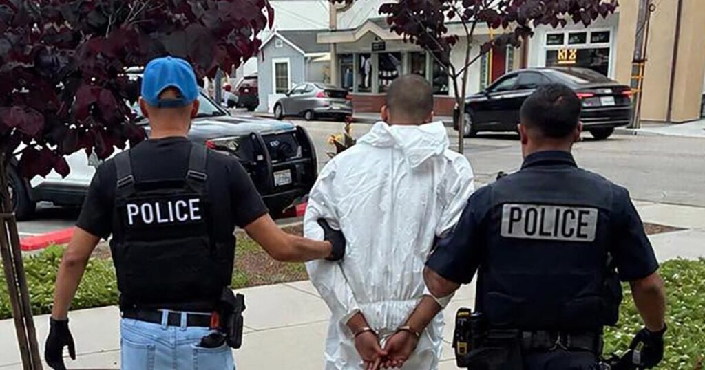 19-year-old lay in wait, stabbed California gallery owner over and over, authorities say