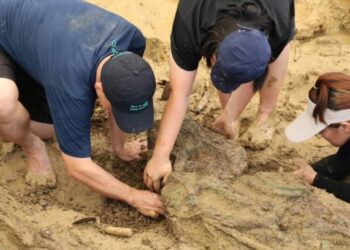 Gold rings around 2,000 years old are unearthed in Thailand