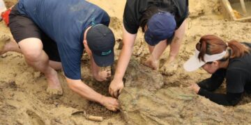 Gold rings around 2,000 years old are unearthed in Thailand