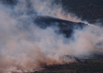 Tens of thousands flee wildfires in France and Spain