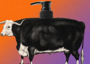 What’s the deal with …  beef tallow skincare?