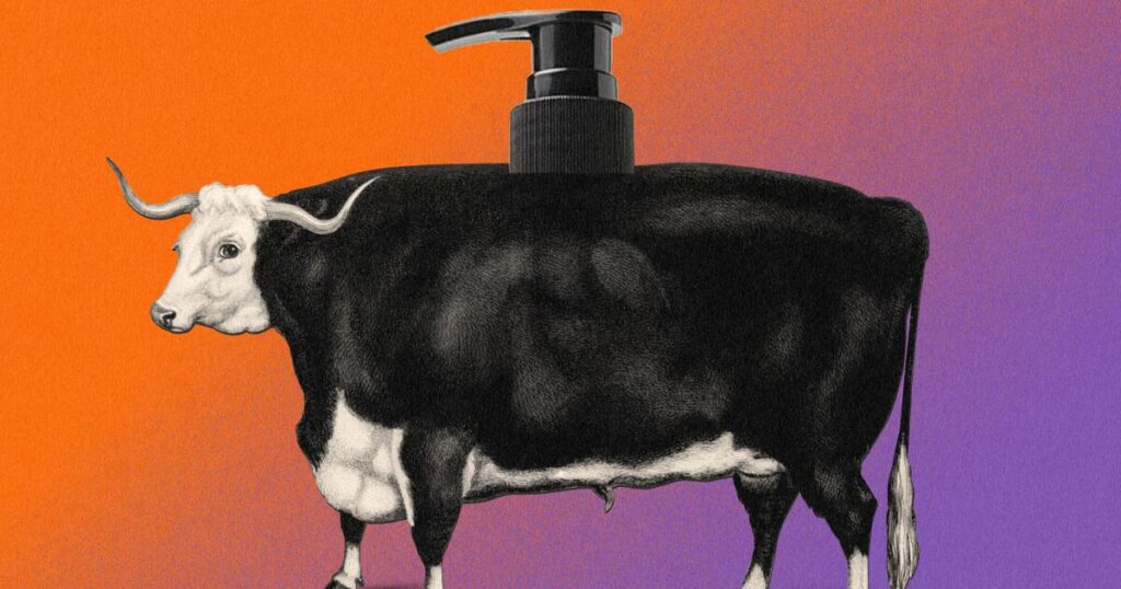 What’s the deal with …  beef tallow skincare?