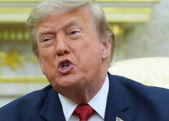 ICE should do traffic stops despite recent shootings, Trump says, seeming to oppose new suspension