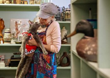 One-eyed rescue cat with Long Beach cult following celebrates 15th birthday in style