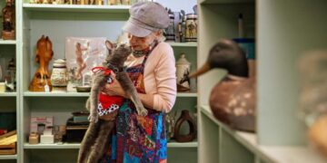 One-eyed rescue cat with Long Beach cult following celebrates 15th birthday in style