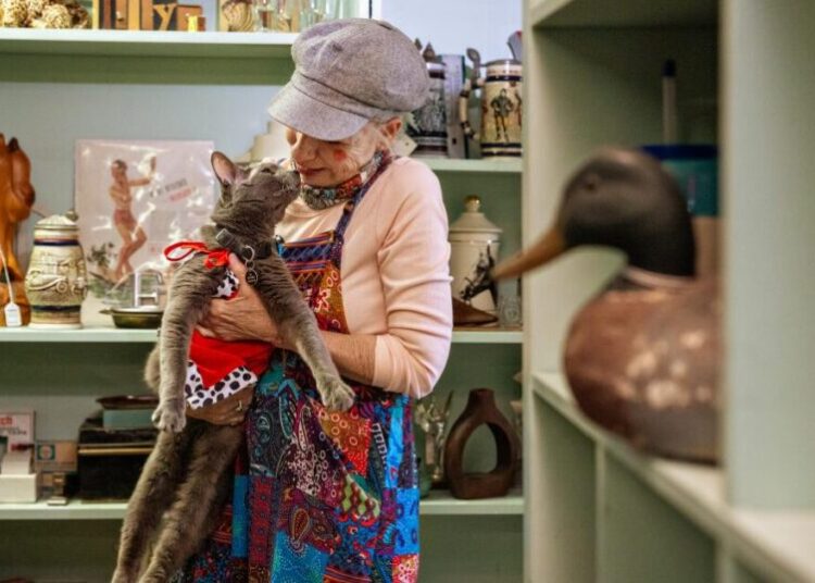 One-eyed rescue cat with Long Beach cult following celebrates 15th birthday in style