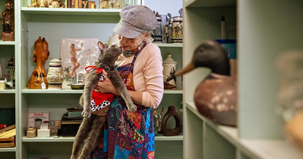 One-eyed rescue cat with Long Beach cult following celebrates 15th birthday in style