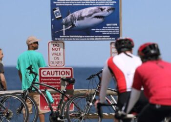 Shark attack on Alabama teen inspires the start of a national alert system