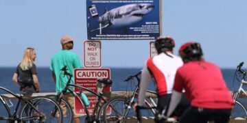 Shark attack on Alabama teen inspires the start of a national alert system