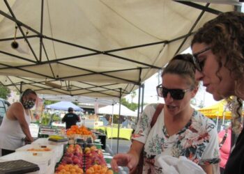 California farmer and food marketer spar over who can sell white nectarines
