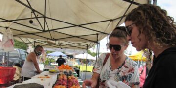 California farmer and food marketer spar over who can sell white nectarines