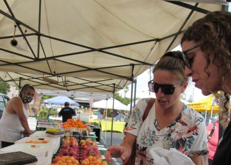 California farmer and food marketer spar over who can sell white nectarines