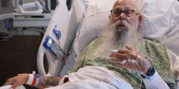 Man tossed by Yellowstone bison says hitting the ground was the worst part