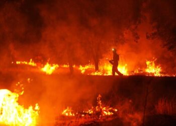 ‘No matter what you do, you can’t put it out’: Spanish firefighters describe record blaze