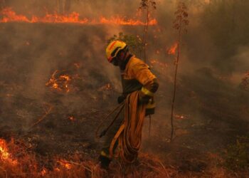 Wildfires in France drive more people from their homes and creep toward Bordeaux