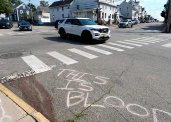 ICE officer in Maine shooting has history of terrifying, violent behavior, family and records say