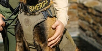 K-9 killed after fireworks scare sends it running into traffic in Central California