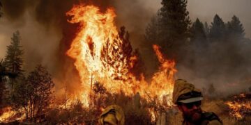 PG&E should pay $22 million for Mosquito fire violations, regulators say