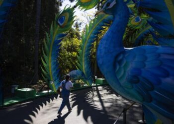 L.A. Zoo nonprofit’s bankruptcy case dismissed, boosting city in fight over $50-million endowment